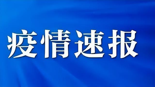 应对未来新冠高峰的挑战与策略，聚焦2024年11月高峰的应对策略