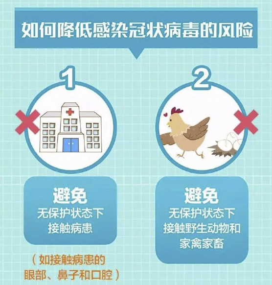 2025年元旦病毒爆发挑战与应对策略