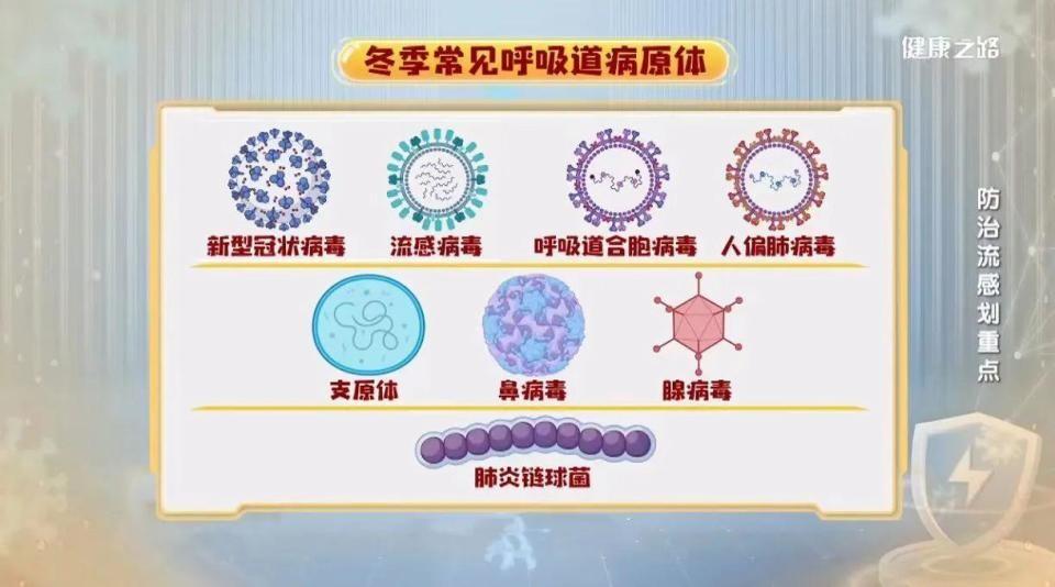 揭秘2024年最新一轮阳性症状，全面解读及应对策略