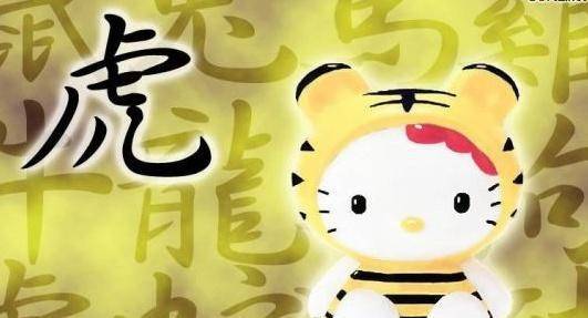 揭秘生肖奥秘，探寻2019年属相生肖的魅力之源