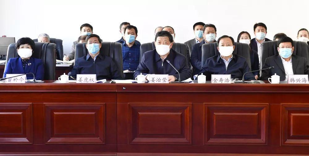 疫情防控领导小组文件模板详解与指导内容概览