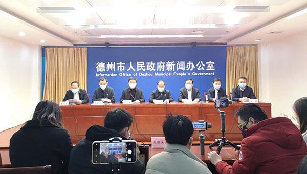 疫情防控领导小组文件模板详解与指导内容概览