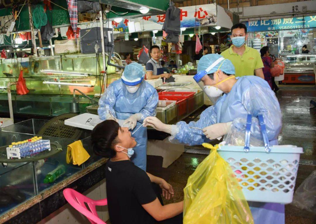 广东新冠病毒最新动态，积极应对，持续监测，保障人民健康（2024年报道）