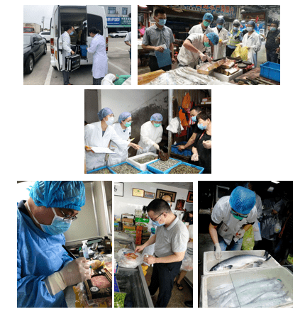 广东新冠病毒最新动态，积极应对，持续监测，保障人民健康（2024年报道）