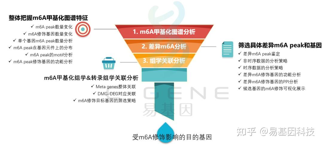 防控指挥中心职能与重要性探究