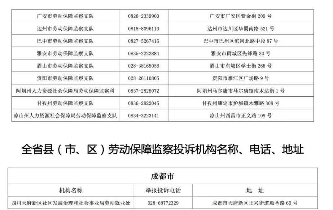 中央疫情指挥部举报投诉电话，守护安全的生命线重要性及其作用解析