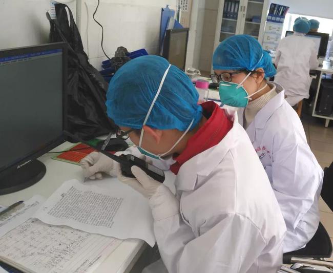 疫情防控指挥部的构成与功能解析