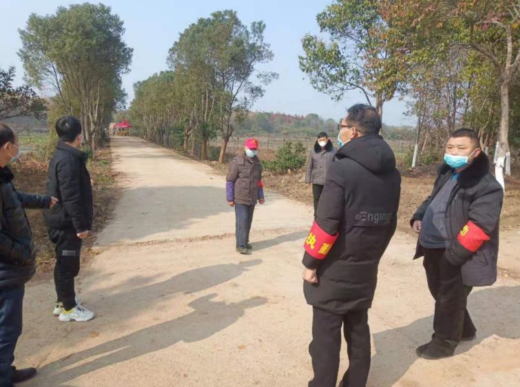 全球疫情动态分析，各地疫情速览图揭示疫情现状