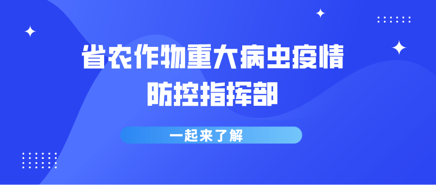 疫情指挥部的核心功能与职责，守护安全的坚强堡垒