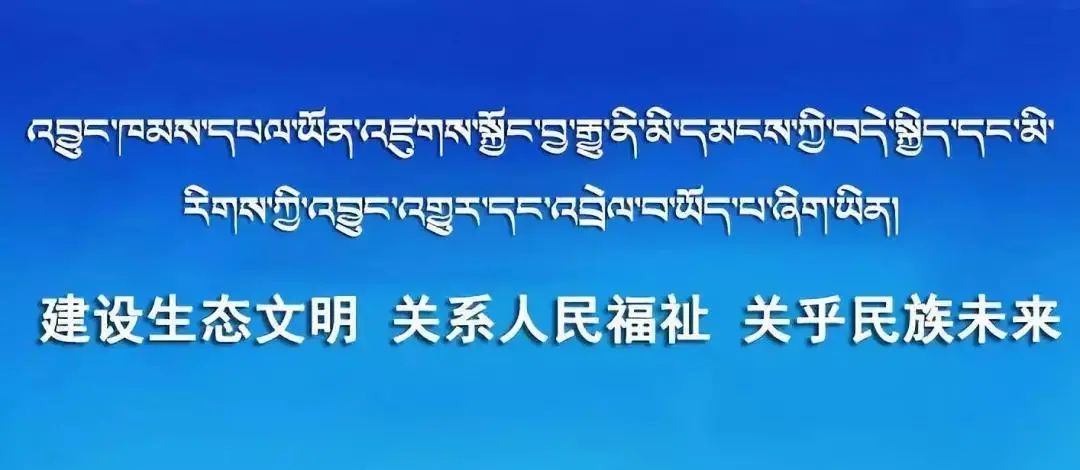 疫情指挥部核心职责解析，协调指挥，保障应对疫情的关键力量