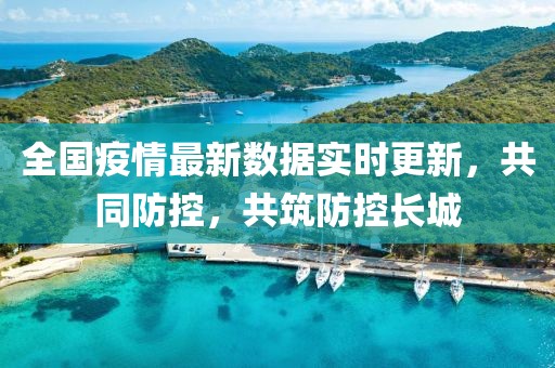 全国疫情实时查询系统，共筑防控长城，掌握疫情动态