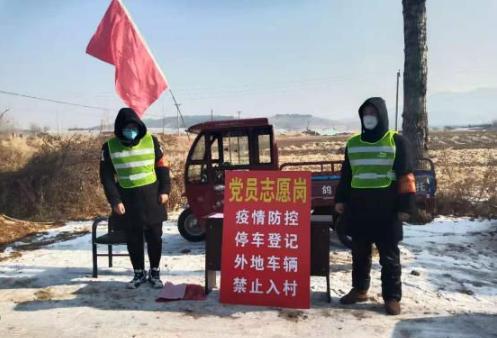 疫情防控背景下的信息查询与官网应用实践