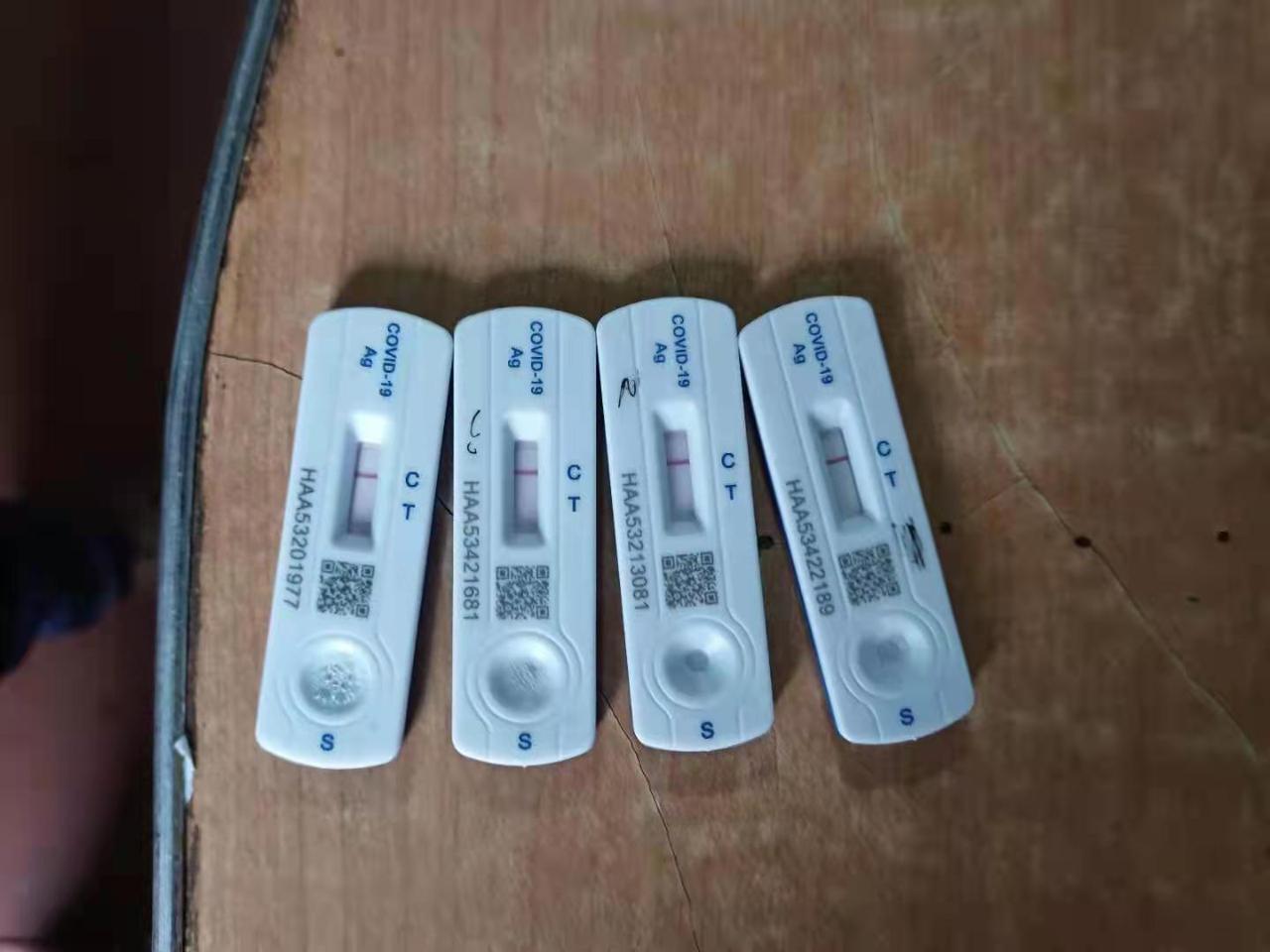 疫情防控背景下的信息查询与官网应用实践