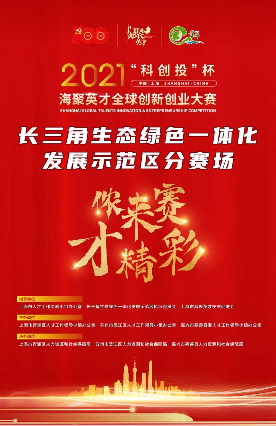 全球赛场动态与体育新闻热点解析