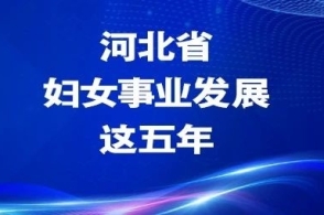 河北西西新闻网最新消息全面解读