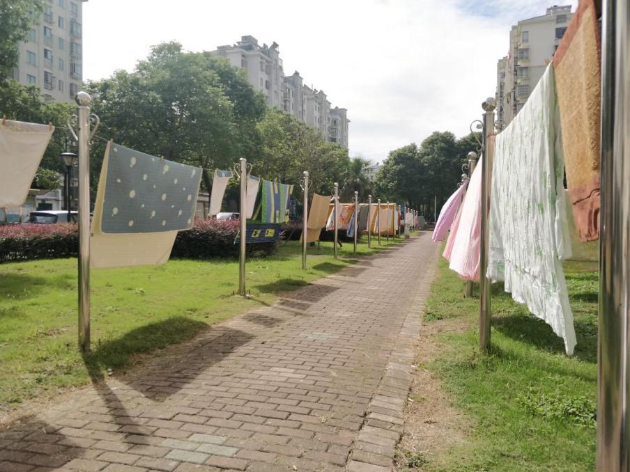 城市发展与民生改善，地方大事新闻下的脉搏与脚步