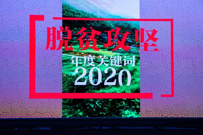 时代变迁中的文化脉络探寻，文化新闻报道
