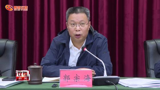 疫情防控信息查询指南，途径与措施全面解析