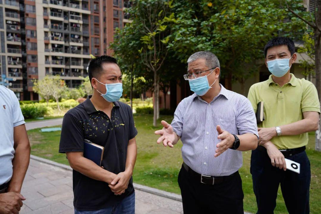 地区防疫要求查询详解及步骤指南