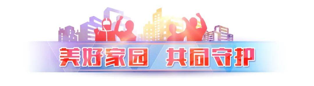 各地疫情防疫措施最新动态深度解析