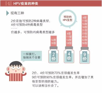 属地防疫政策，构建有效防疫体系的基石