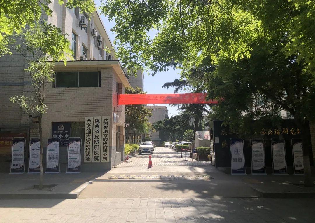 地方病防治，策略与实践探讨