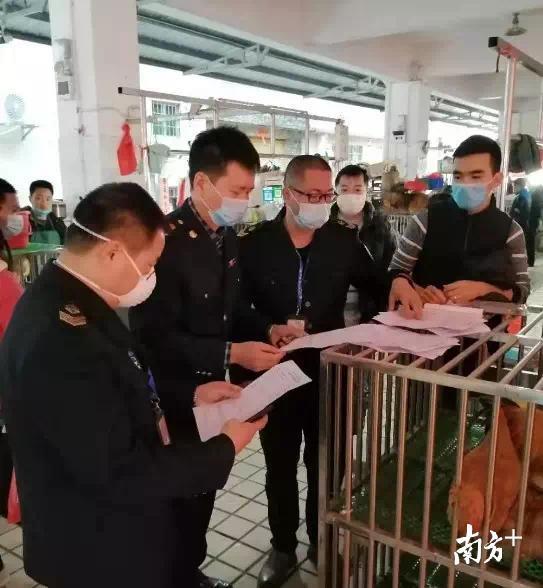 管控限制的含义解析
