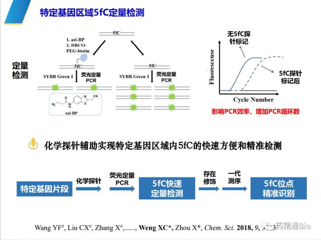 未来核酸检测重启趋势分析与应对策略探讨