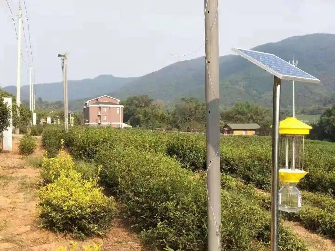 各地防疫新规最新动态，构建科学高效防控体系