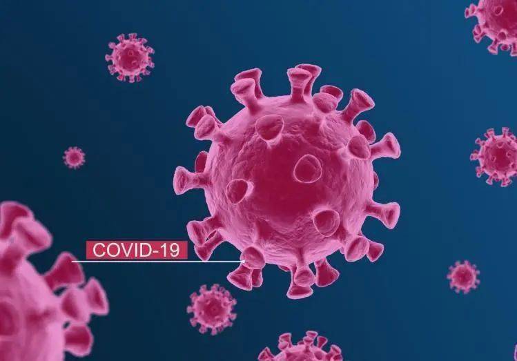 新型冠状病毒（COVID-19）近期爆发引发关注
