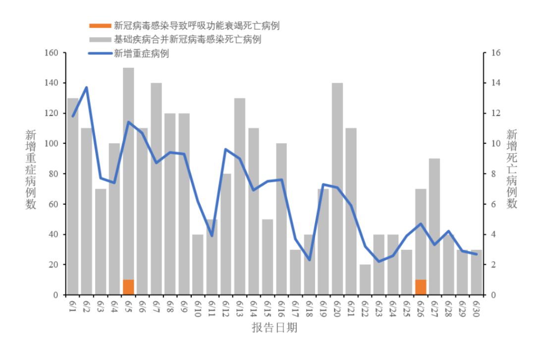 全国新冠病毒疫情最新动态解析与趋势展望