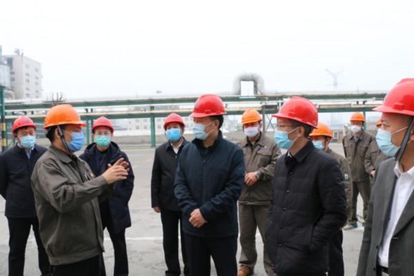 最新疫情防控政策通知，构建科学精准防控体系