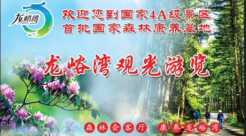 疫情防控最新资讯，全球动态与应对策略