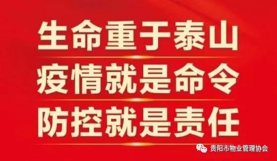 疫情防疫处置方案，筑牢安全防线，守护人民健康