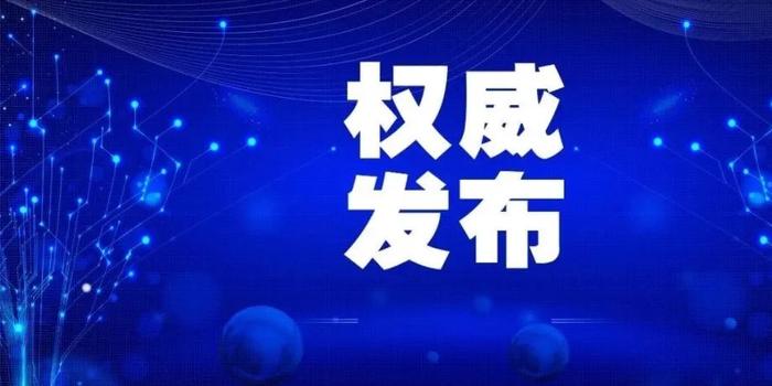 疫情防控工作方案总结，经验、挑战与未来展望展望报告解析返回标题，疫情防控工作方案总结及未来展望，经验、挑战与策略调整之路
