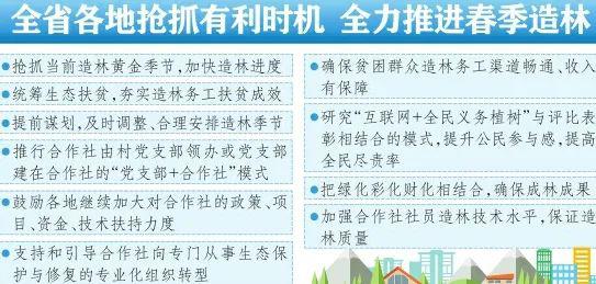 防疫工作进展总结报告，实施、成效与挑战的梳理分析