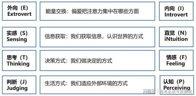防疫措施正确填写指南，方法与步骤详解