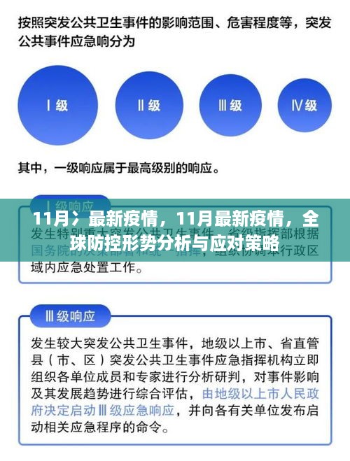地域防疫要求详解，全面解析与实践策略指南
