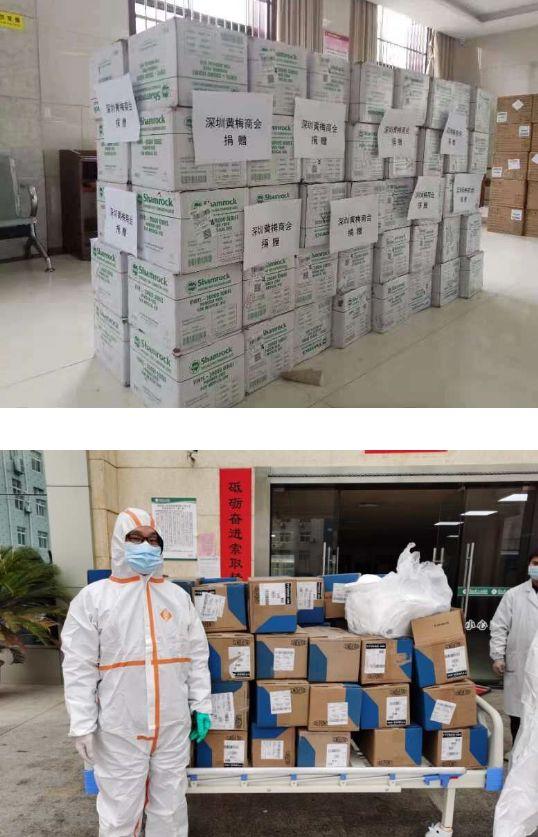 各地区防控政策查询官网动态更新分析简报