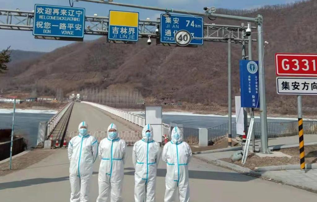 各地最新防疫政策通知，筑牢防线，守护健康安全