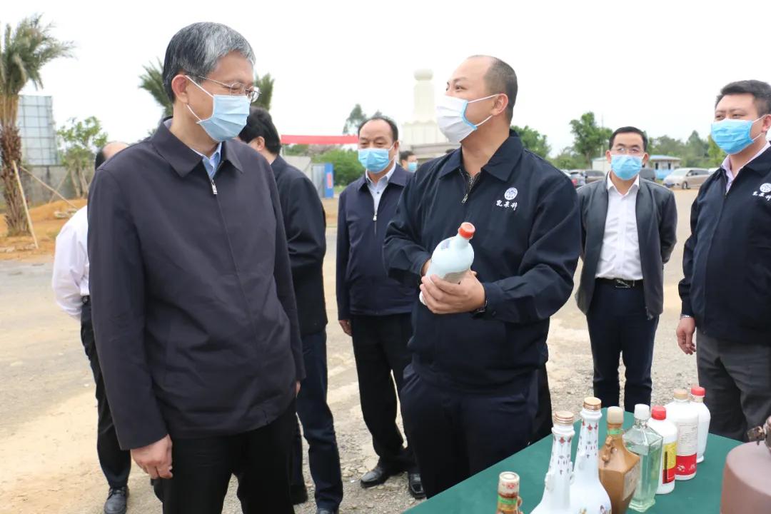 疫情防控政策措施全面报告，策略与实践