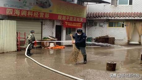 防疫局，公众健康的重要守护者
