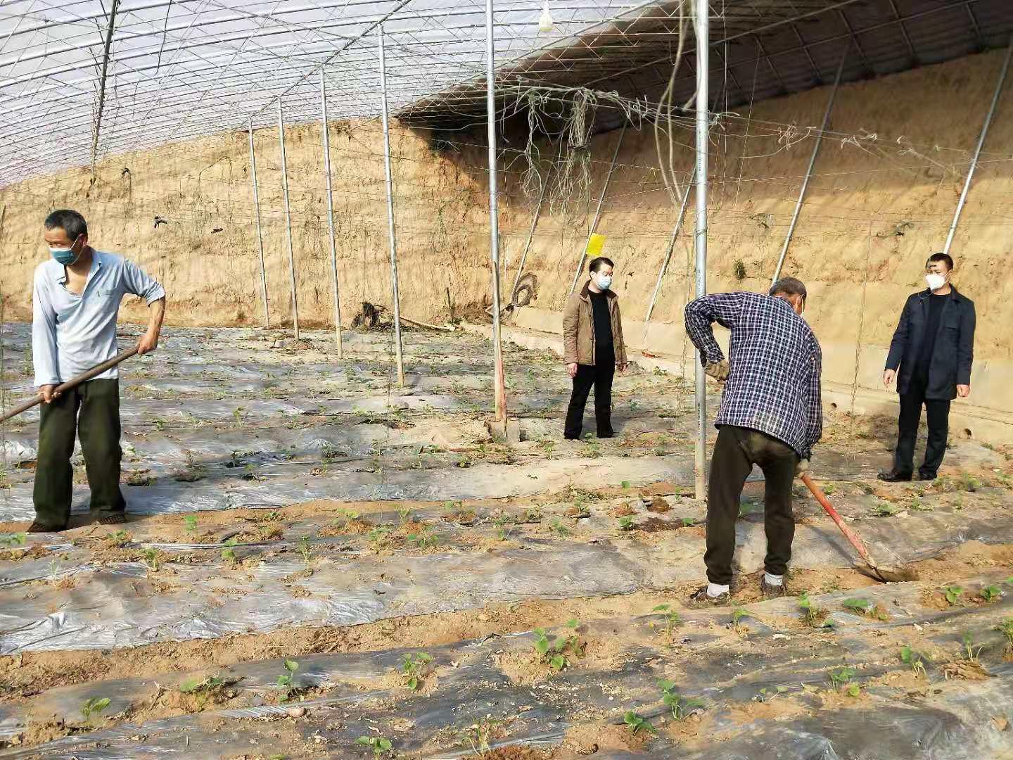 疫情防疫局，引领未来之路