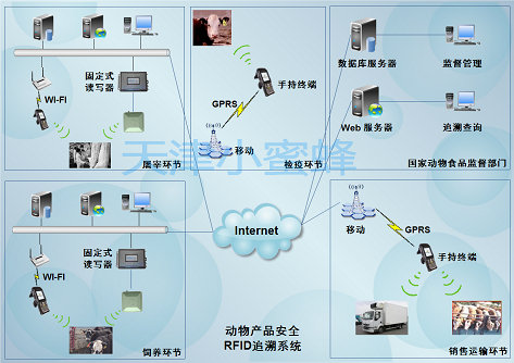 防疫管控区域指向解析与策略探讨