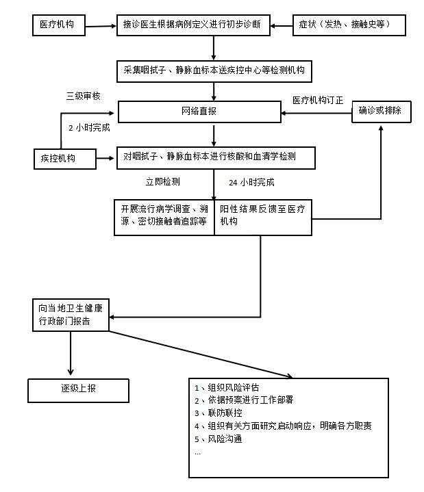 地区疫情防控措施方案撰写指南详解