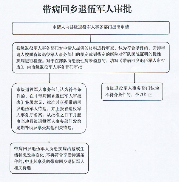 带病回乡申请书模板与申请指南