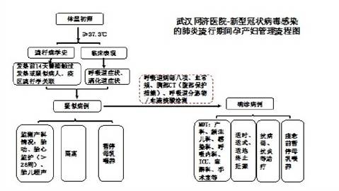 防疫职责划分与管理机制探讨，究竟谁应该负责？