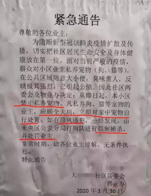 解读入学公章含义及其在当地防疫中的重要性