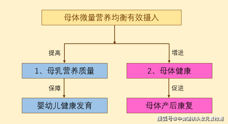 地方防疫过度的投诉途径与解决策略