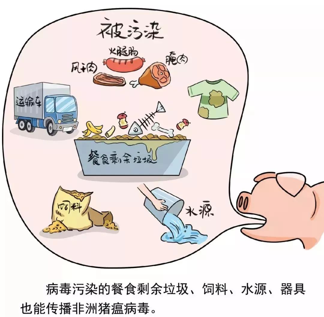 过度防控举报电话的反思与探讨